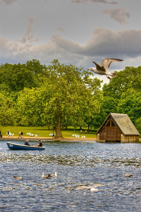 The serpentine (Hyde park).jpg